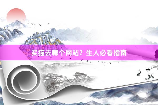 买猫去哪个网站？生人必看指南
