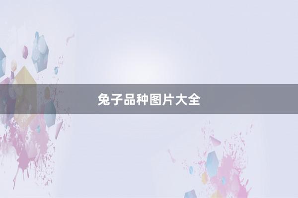 兔子品种图片大全