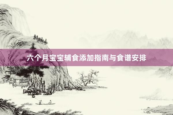 六个月宝宝辅食添加指南与食谱安排